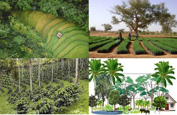 agricultura-ecologica-tropical-y-biodiversidad