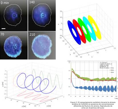 comunidades-del-suelo-y-comportamiento-oscilatorio
