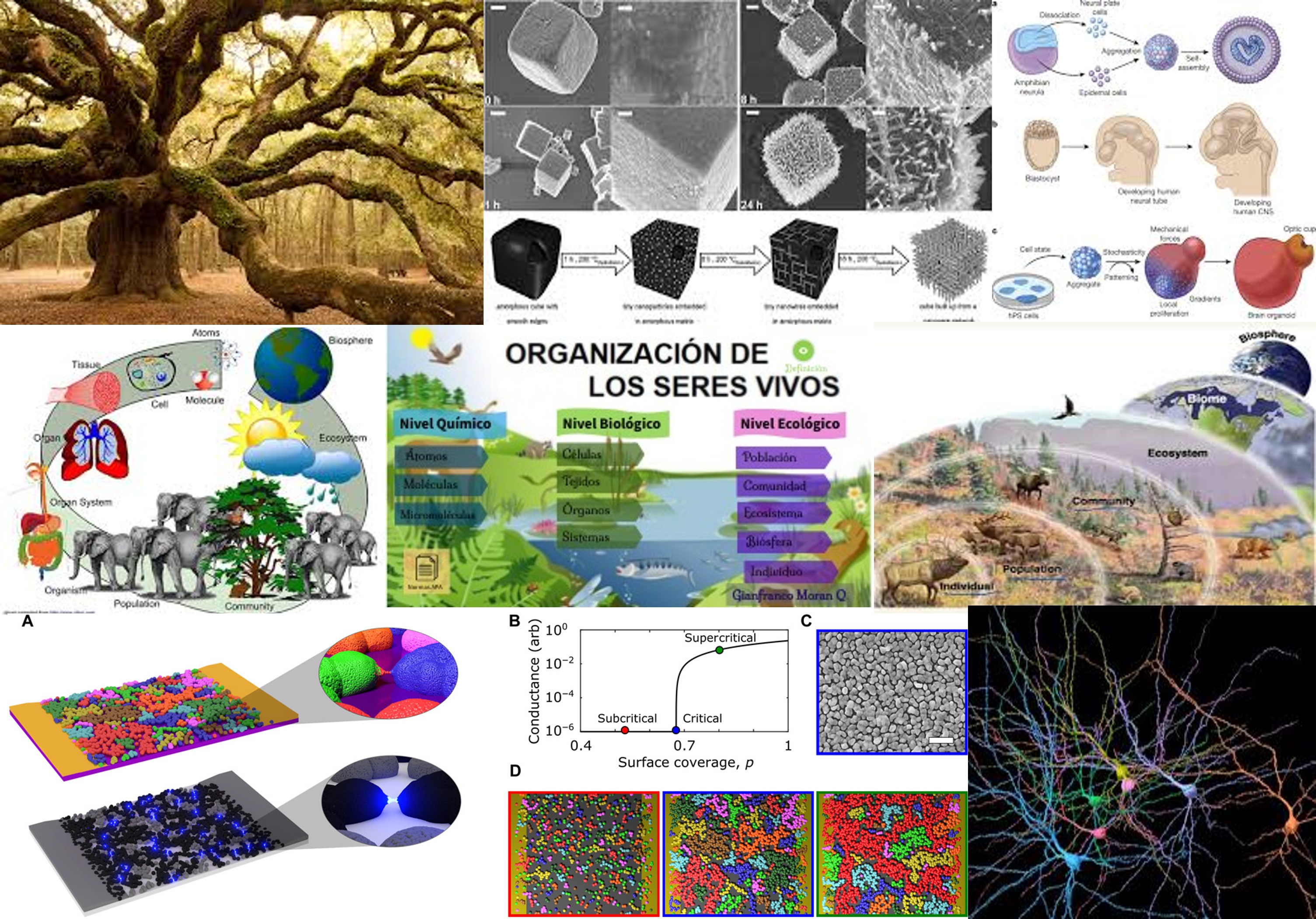 Images tagged "concepto-de-modularidad" - Un Universo invisible bajo ...