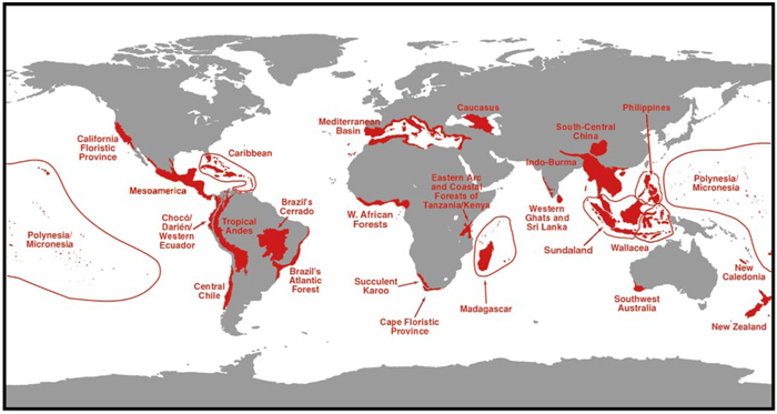 mapa-mundial-puntos-calientes-plantas-vascualaresnature-education