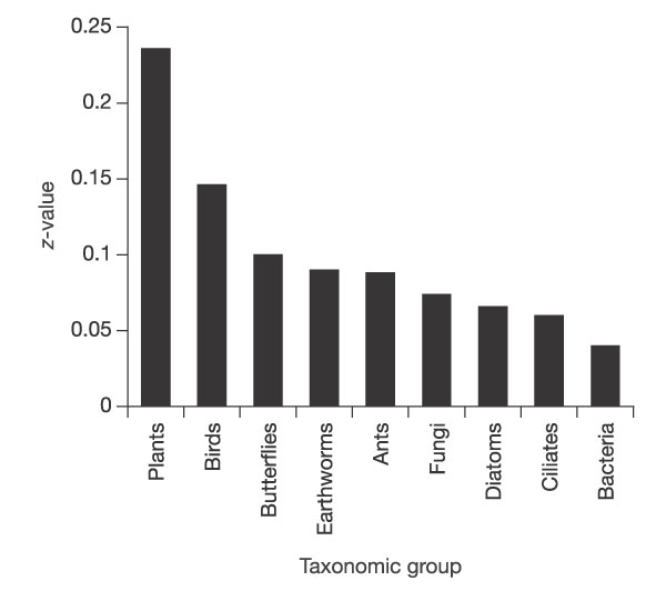 o_nature Willis curve