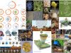 Biodiversity-global-soil