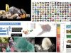 Diversidad-Mineral