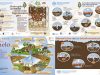 biodiversidad-de-suelo-agricultura