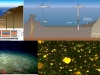 biodiversidad-oscura-bxterias-fondos-marinos