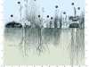 biodiversidad-y-profundidad-del-suelo