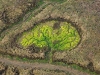 cuenca-de-drenaje-fractal-fuente-fractales-in-nature