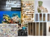 diversity-lists-or-taxonomias