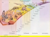 evolucion-de-la-vida