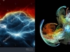 fractales-google