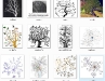 o_Citaciones en la Web