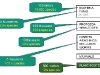 o_ESB biodiversidad