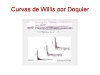 o_Grafico 5 edafodiversidad Willis everywhere