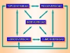 o_Grafico 6 Edafodiversidad