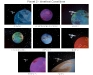 o_Planetodiversidad