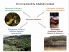 suelo-patrimonio-cultural