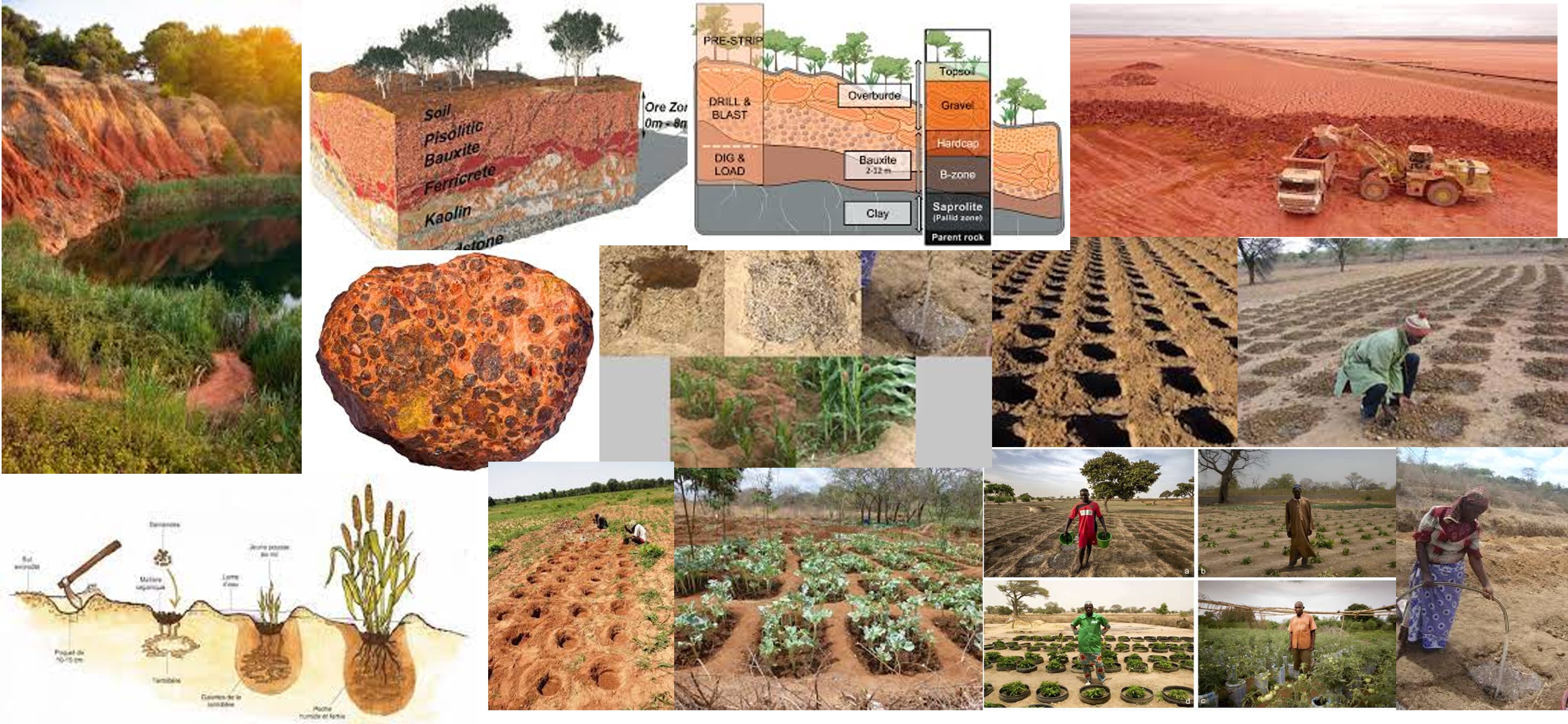 Agricultura-Zai-Bauxita