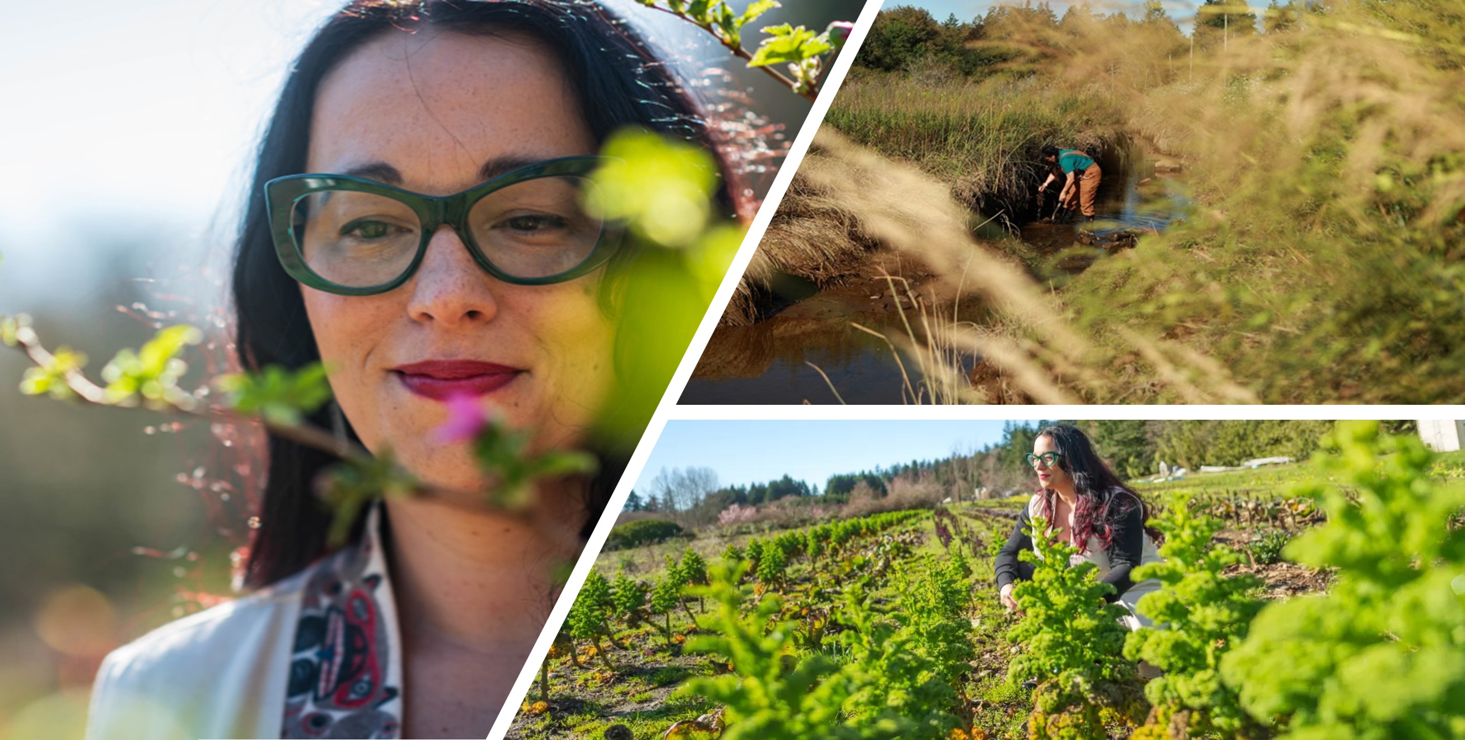 Conocimiemto-indigena-restauracion-ecologica