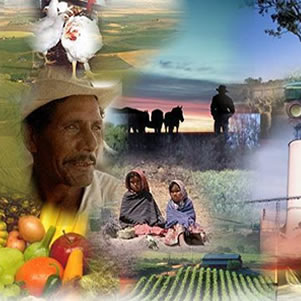 agricultura-contra-la-pobreza-desarrollo-rural