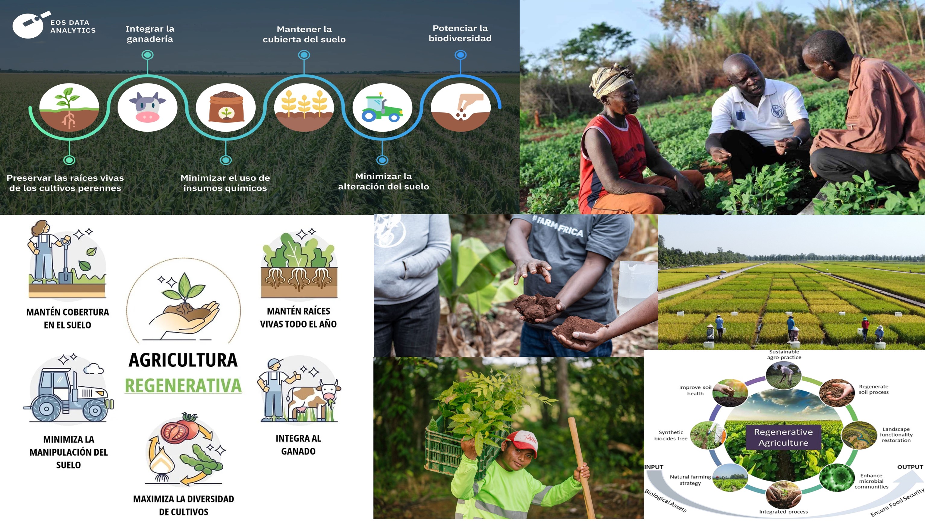 agricultura-regenerativa-2025