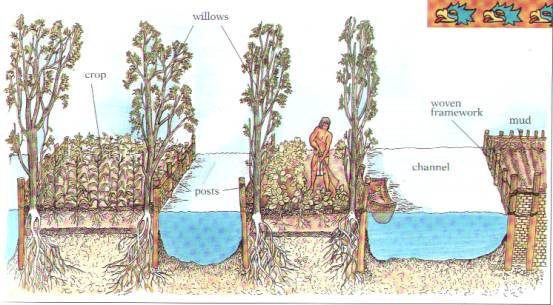 chinampas-sistema-tradicional-de-cultivo-maya-en-humedales-fuente-northeastpermaculture
