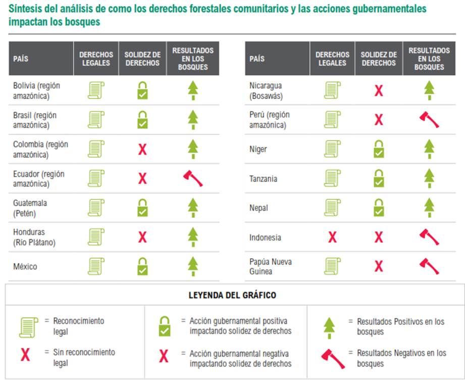 la-lucha-milenaria-del-manejo-forestal-comunitario1