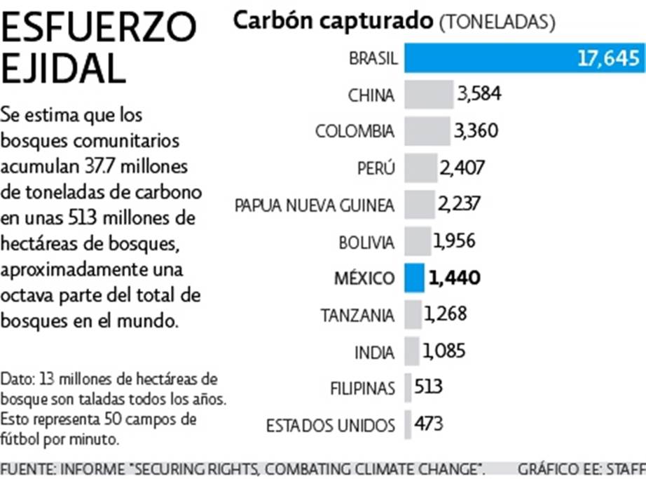 la-lucha-milenaria-del-manejo-forestal-comunitario2