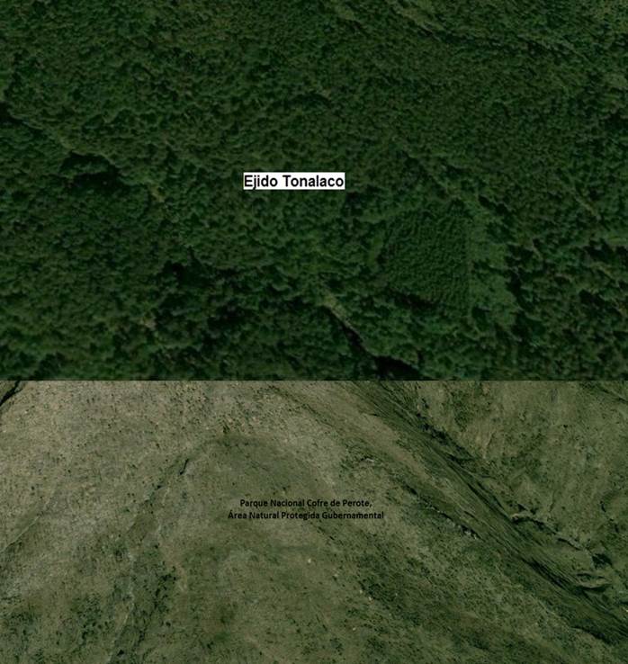 la-lucha-milenaria-del-manejo-forestal-comunitario3