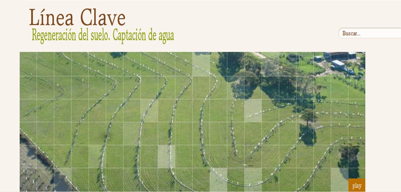 linea-clave-sitio-web-permacultura-y-agricultura-ecologica