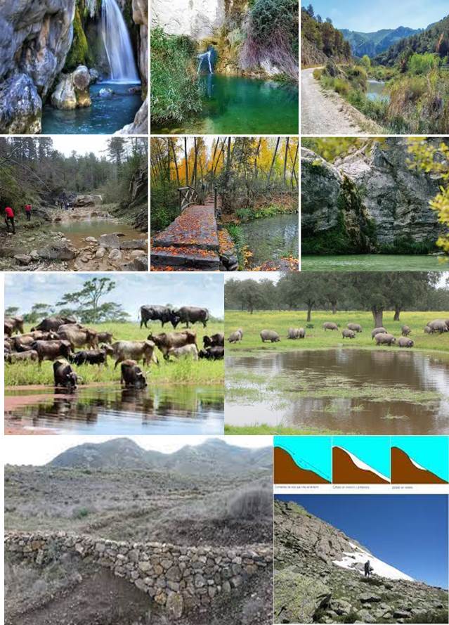 nravaderod-albercas-neveros