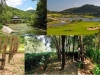 00-caucho-agricultura-sistentable-hainan-china