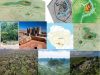 Amazonia-urbes-ancestrales