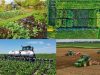 Organic-farming-small-larguer-