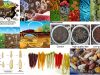 Plantas-domesticadas-plantas-salvajes
