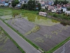 agricultura-arte-y-turismo-rural-2-hemmy-net
