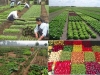 agricultura-ecologica-tecnociancia-posverdad