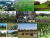 agricultura-ecologica-y-naturaleza