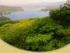 agricultura-organica-y-biodiversidad-fuente-cherokee-coffee