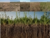 agricultura-regenerativa