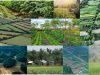 agrodiversidad-granjas-pequenas