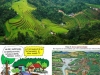 agroecologia-demanda-de-la-onu