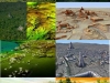 america-fue-un-paisaje-agrario-precolombino