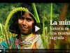 avatar-los-pueblos-indigenas-y-su-destruccion-en-aras-del-progreso-fuente-survival-international