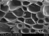 biochar-artificial-al-microscipio-electronico