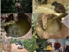 biodigestores-biogas-y-biofertilizantes