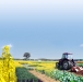 biofumigacion-fuente-SCIRO