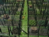chinampas-fuente-veoverde