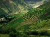 colca-terrazas