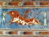 creta-toro