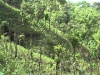 el-sistema-quesungual-en-honduras